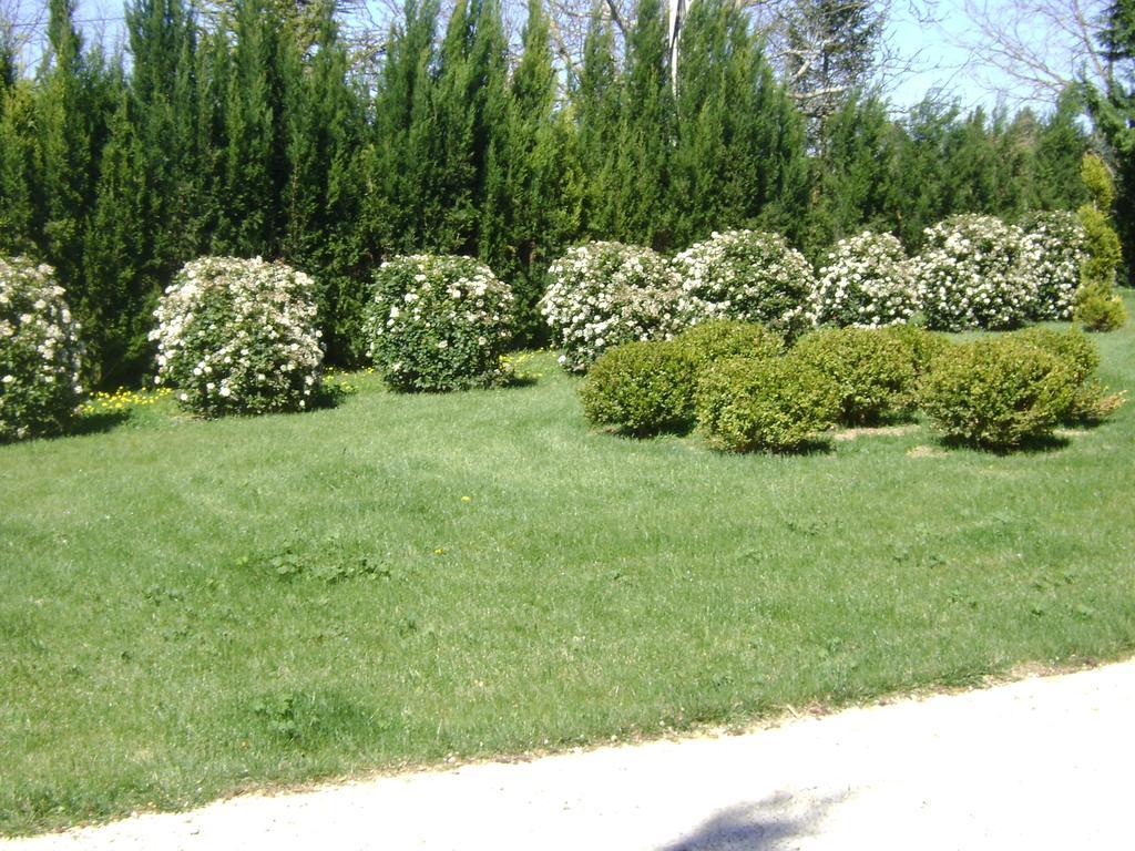فيلا Bastide Des Lauves آيكس أومبروفينس المظهر الخارجي الصورة